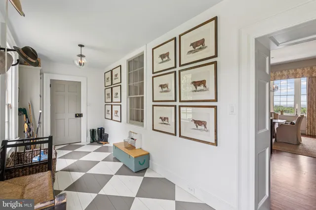 a view of a tree with plants in front of it