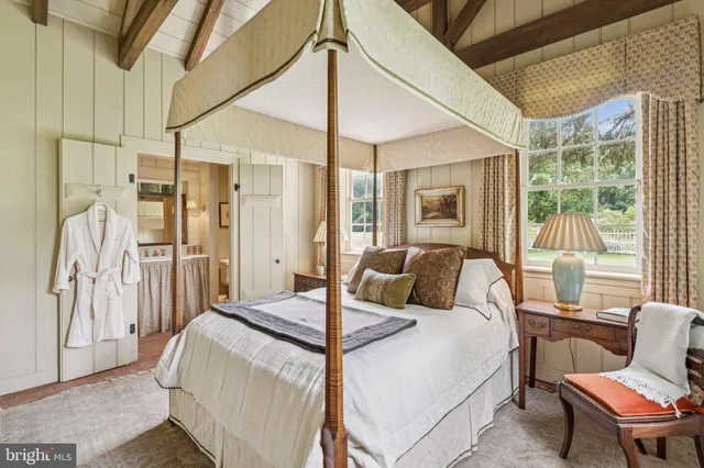 a view of a tree in a yard