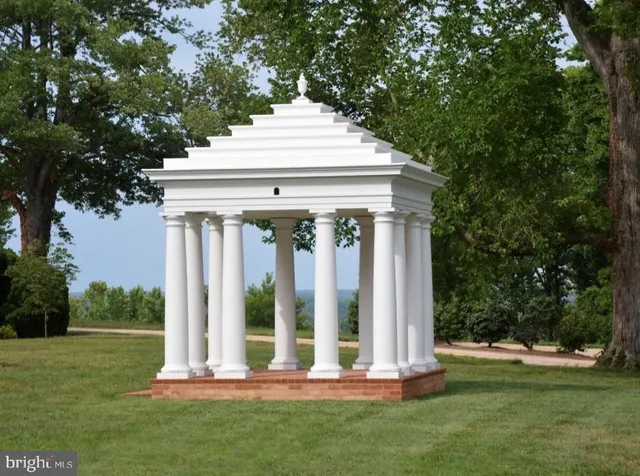 a view of a trees in a yard