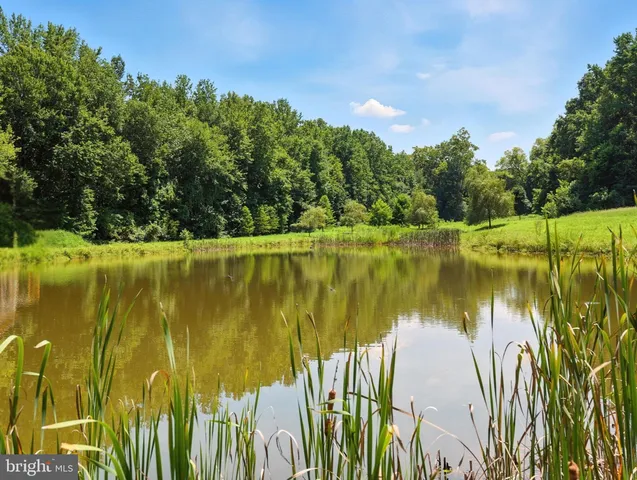 $9,000,000 | 23348 Tidewater Trail, Port Royal, VA 22535