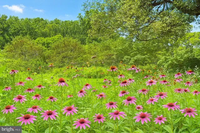 $9,000,000 | 23348 Tidewater Trail, Port Royal, VA 22535