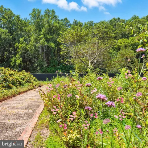 $9,000,000 | 23348 Tidewater Trail, Port Royal, VA 22535