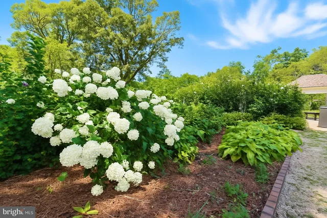 $9,000,000 | 23348 Tidewater Trail, Port Royal, VA 22535