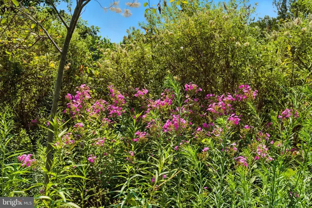 $9,000,000 | 23348 Tidewater Trail, Port Royal, VA 22535