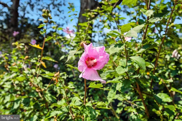 $9,000,000 | 23348 Tidewater Trail, Port Royal, VA 22535