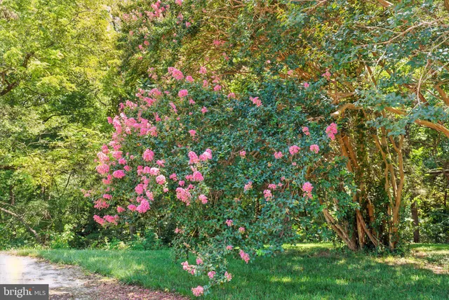 $9,000,000 | 23348 Tidewater Trail, Port Royal, VA 22535