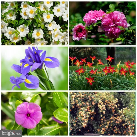 $9,000,000 | 23348 Tidewater Trail, Port Royal, VA 22535