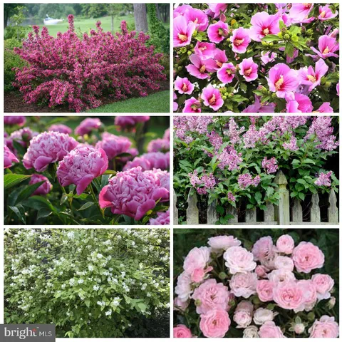 $9,000,000 | 23348 Tidewater Trail, Port Royal, VA 22535