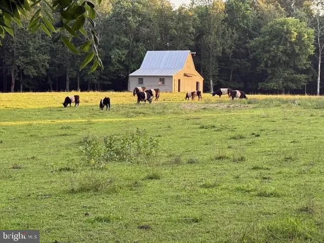 $9,000,000 | 23348 Tidewater Trail, Port Royal, VA 22535