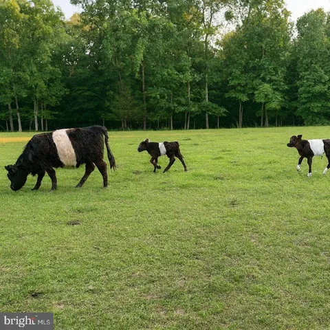 $9,000,000 | 23348 Tidewater Trail, Port Royal, VA 22535