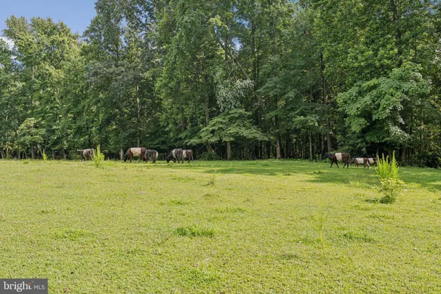 $9,000,000 | 23348 Tidewater Trail, Port Royal, VA 22535