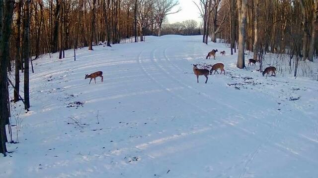 Lt1 Oak Knoll Road Rochester, WI 53105 - Photo 29 of 43 IMG_3981.JPEG