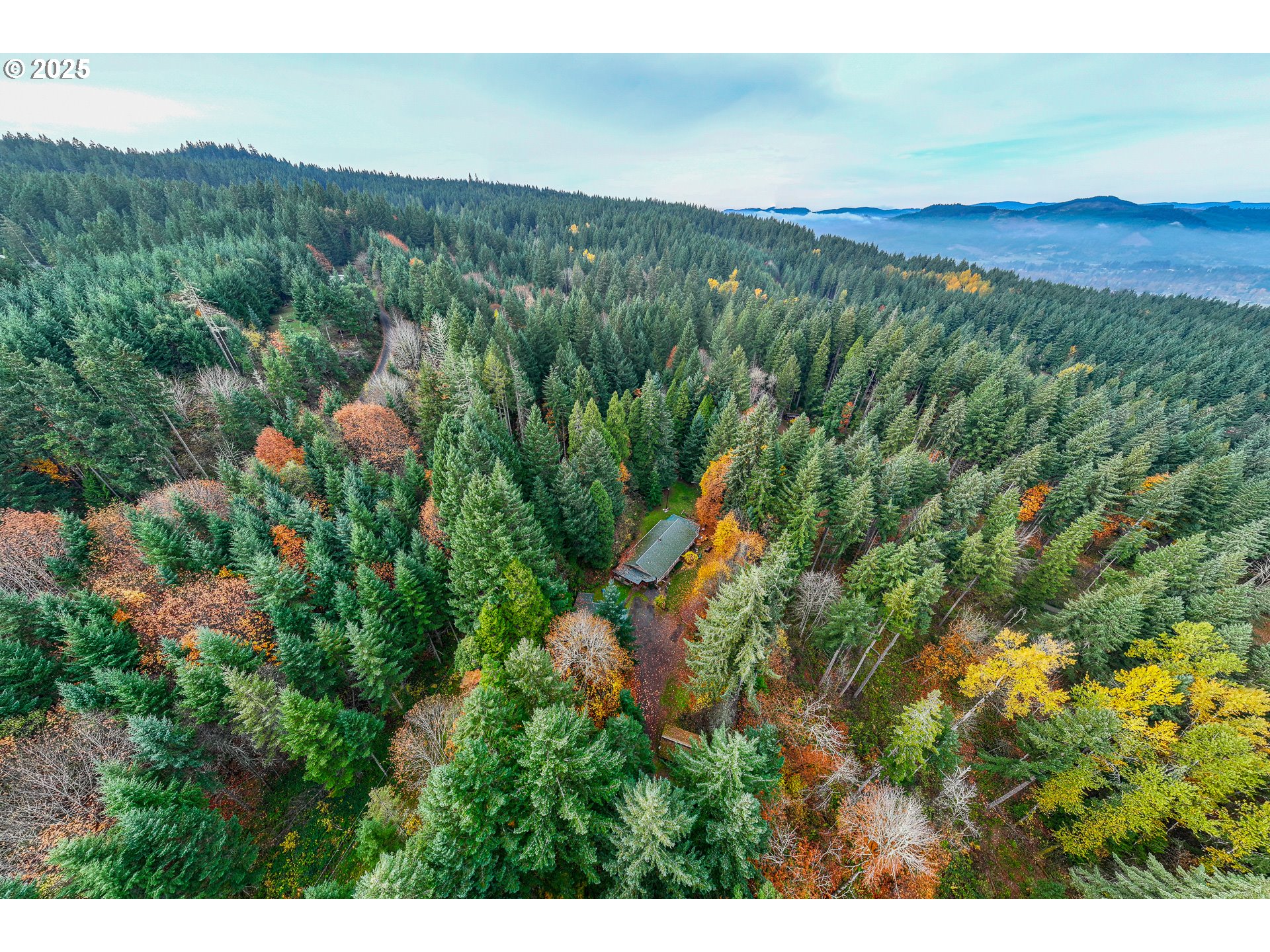 87250 Cedar Flat Road Springfield, OR 97478 - Photo 2 of 48 a view of a lush green field with mountains in the background