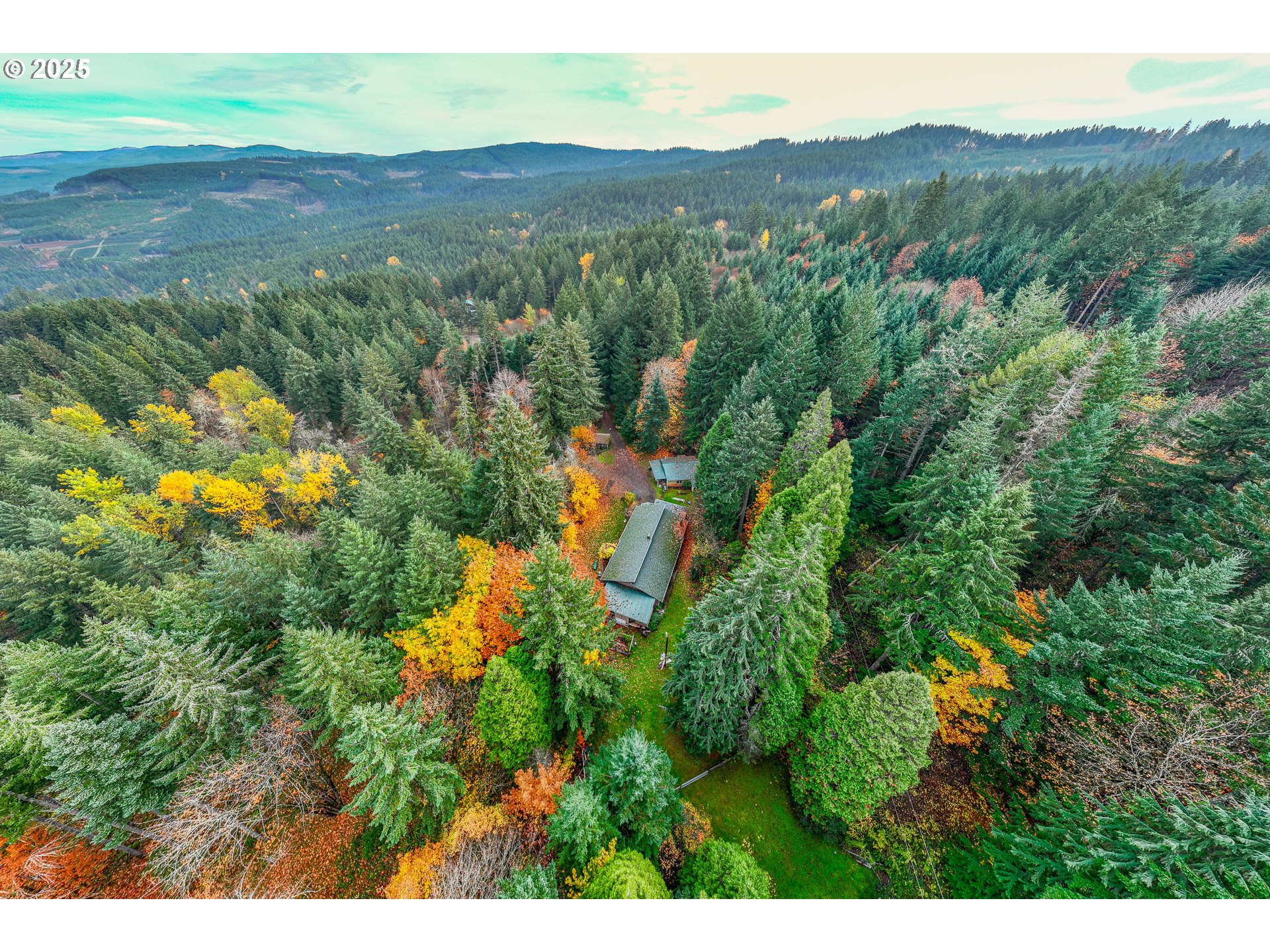 87250 Cedar Flat Road Springfield, OR 97478 - Photo 3 of 48 a view of a lush green hillside and houses