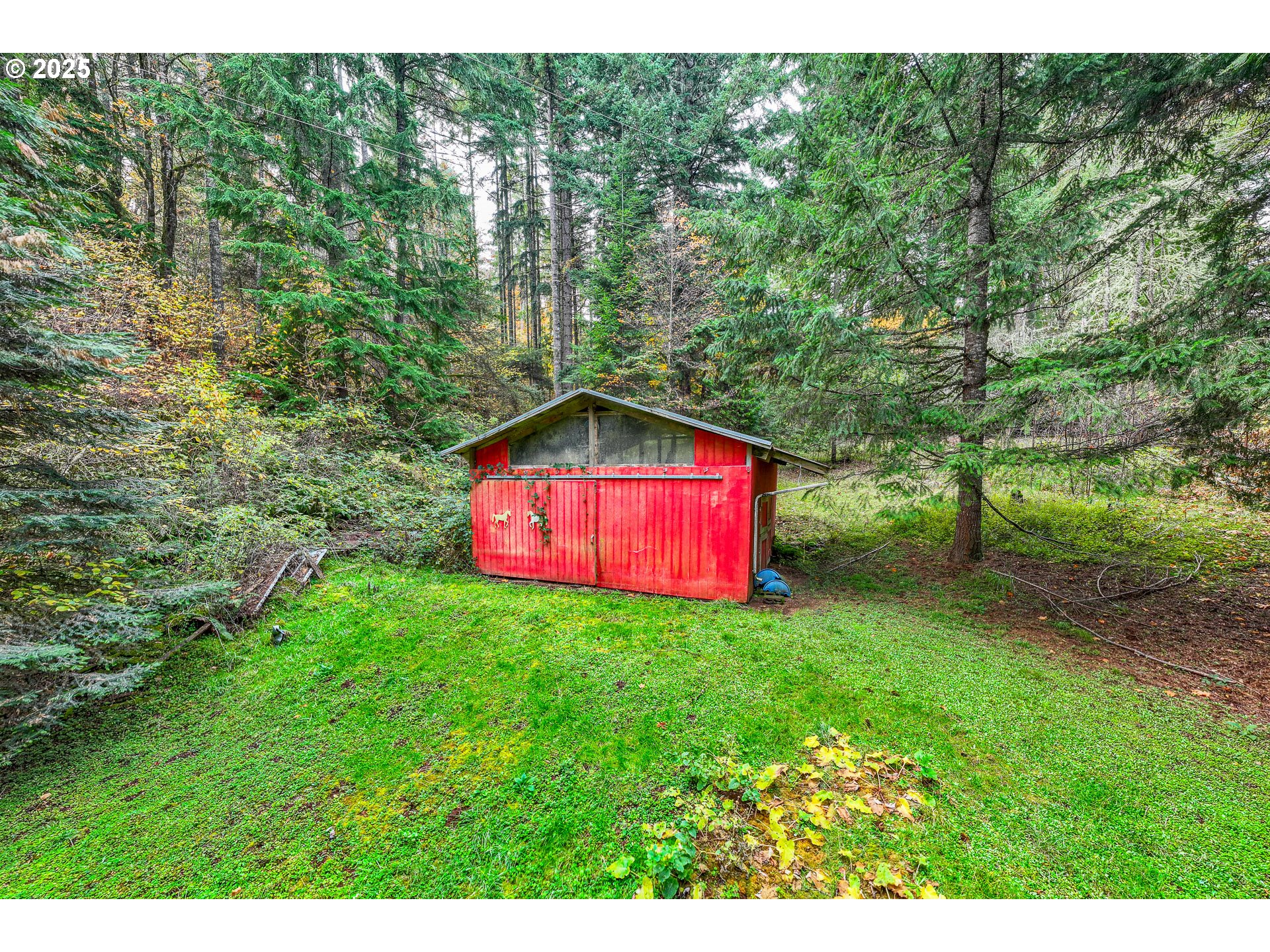 87250 Cedar Flat Road Springfield, OR 97478 - Photo 32 of 48 a view of a trees with a backyard