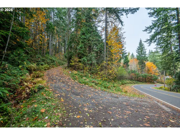 $650,000 | 87250 Cedar Flat Road, Springfield, OR 97478