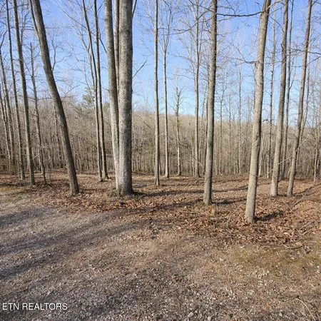 $44,900 | Lot 7 Bill West Road, Ten Mile, TN 37880