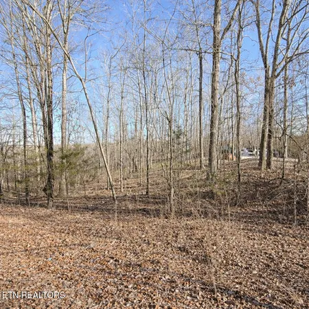 $44,900 | Lot 7 Bill West Road, Ten Mile, TN 37880