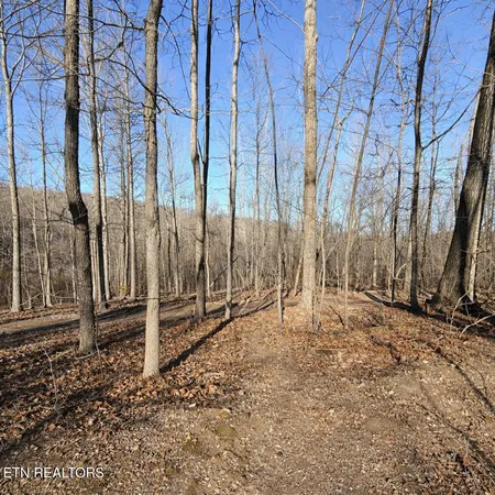 $44,900 | Lot 7 Bill West Road, Ten Mile, TN 37880