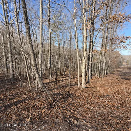$44,900 | Lot 7 Bill West Road, Ten Mile, TN 37880