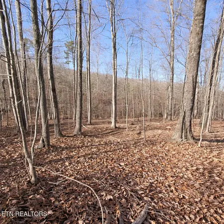 $44,900 | Lot 7 Bill West Road, Ten Mile, TN 37880