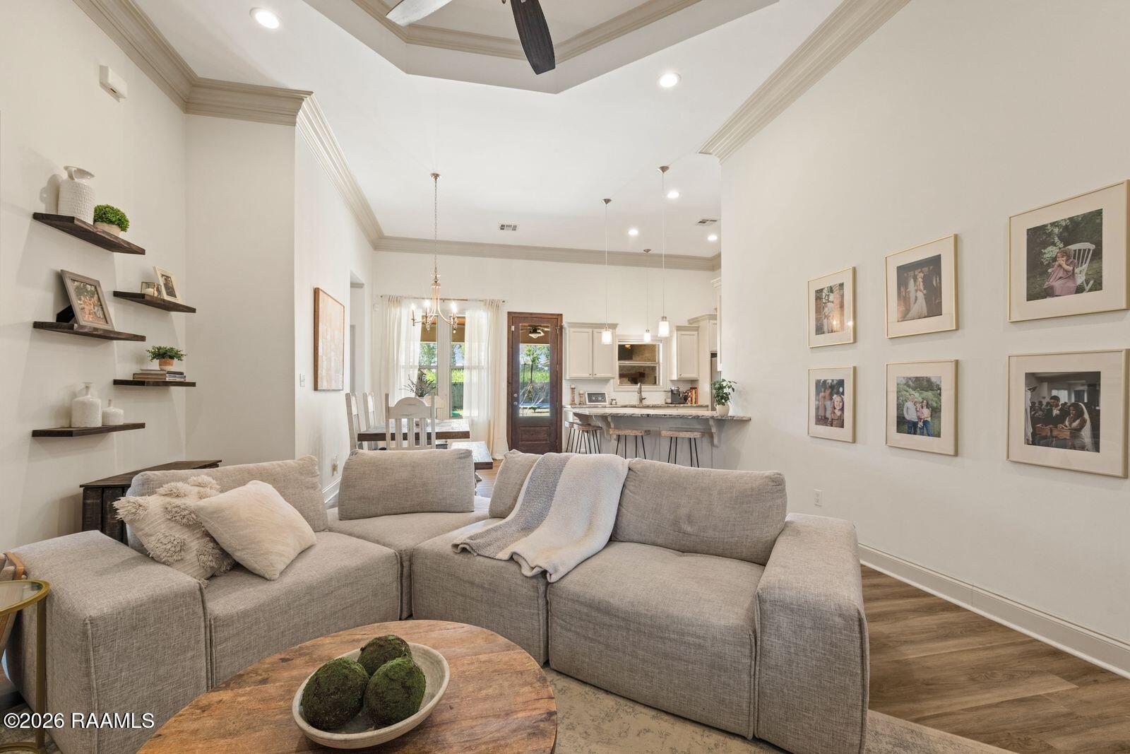 113 Rue Village Maurice, LA 70555 - Photo 3 of 34 Beautiful varied height ceilings in livi