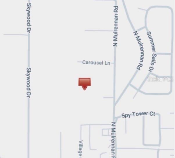 224 Old Mulrennan Road Valrico, FL 33594 - Photo 4 of 5