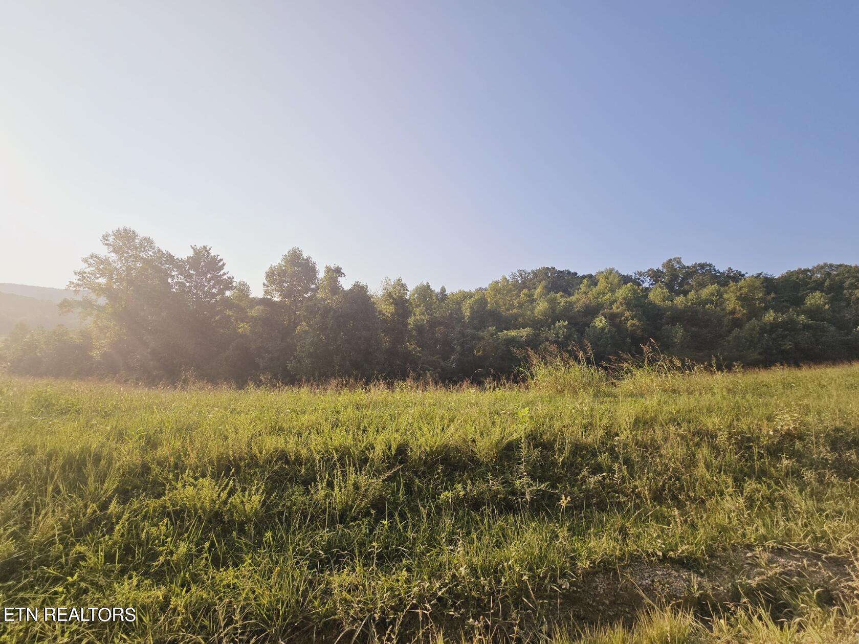 Piney Grove Road Oneida, TN 37841 - Photo 13 of 45 1