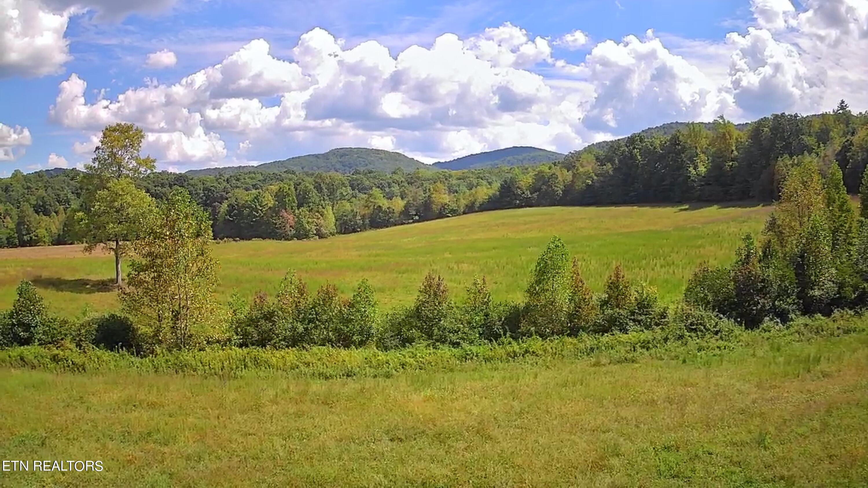 Piney Grove Road Oneida, TN 37841 - Photo 20 of 45 IMG_2370