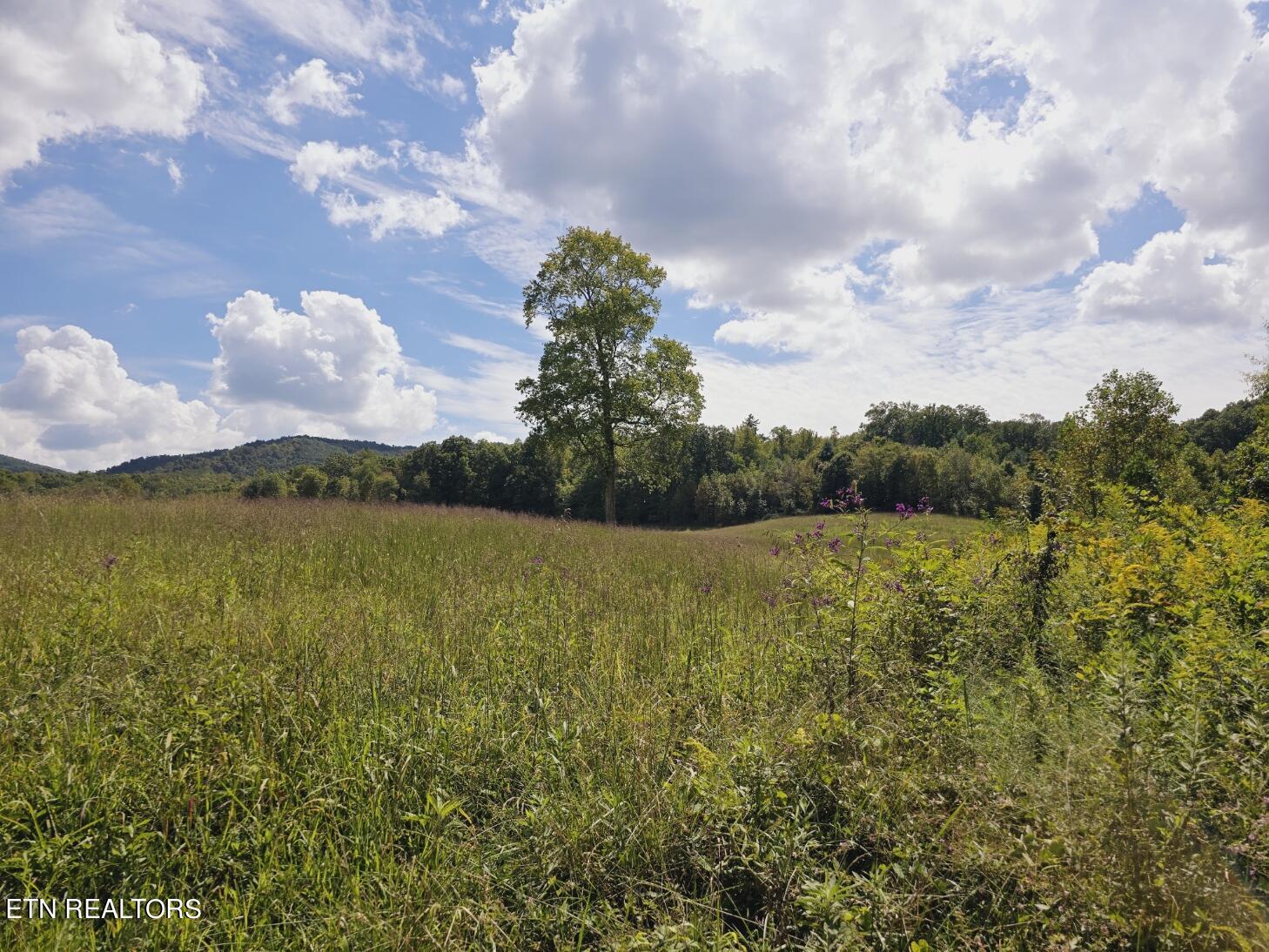 Piney Grove Road Oneida, TN 37841 - Photo 3 of 45 12