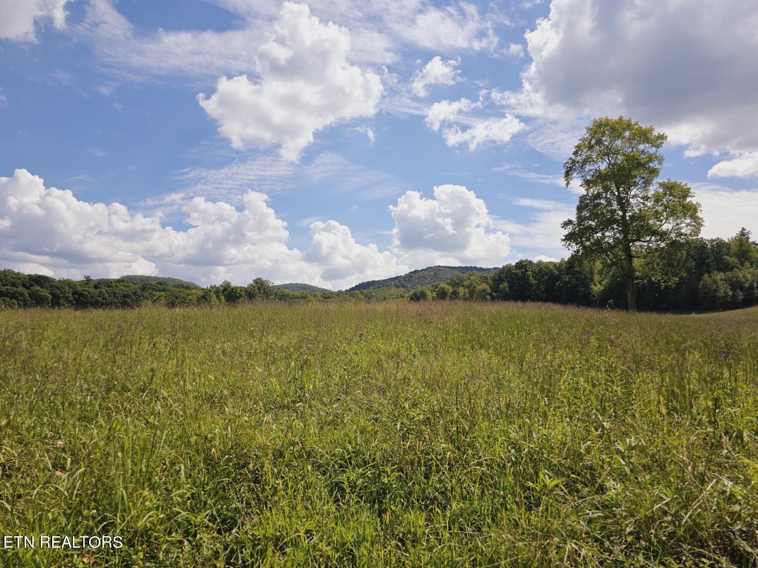 Piney Grove Road Oneida, TN 37841 - Photo 36 of 45 13