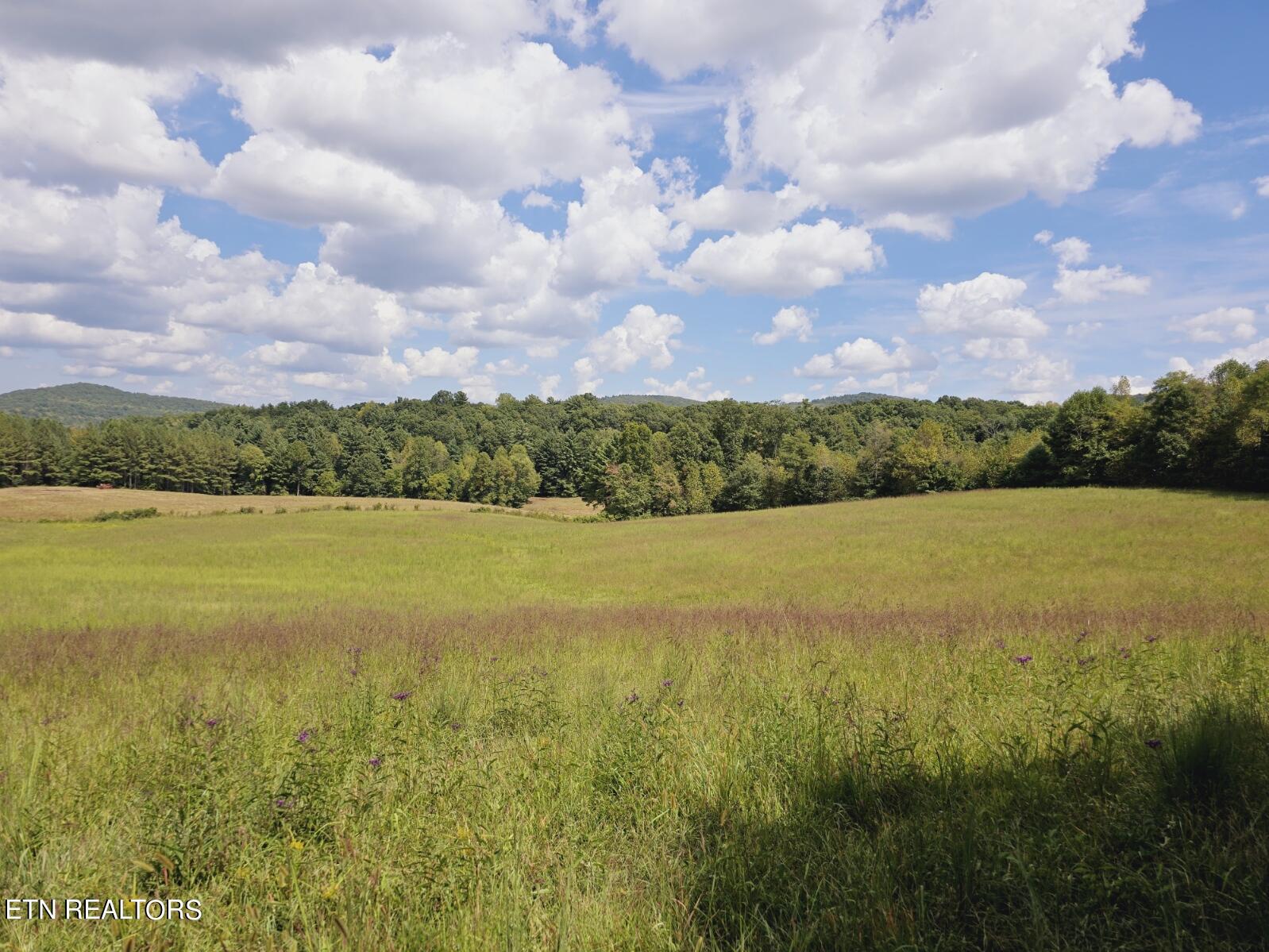 Piney Grove Road Oneida, TN 37841 - Photo 37 of 45 9