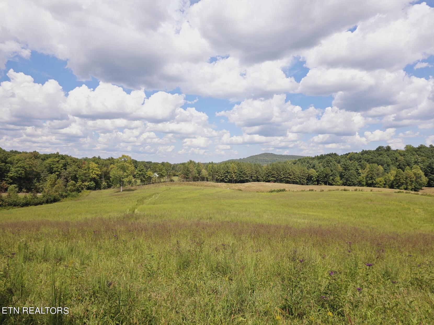 Piney Grove Road Oneida, TN 37841 - Photo 39 of 45 7