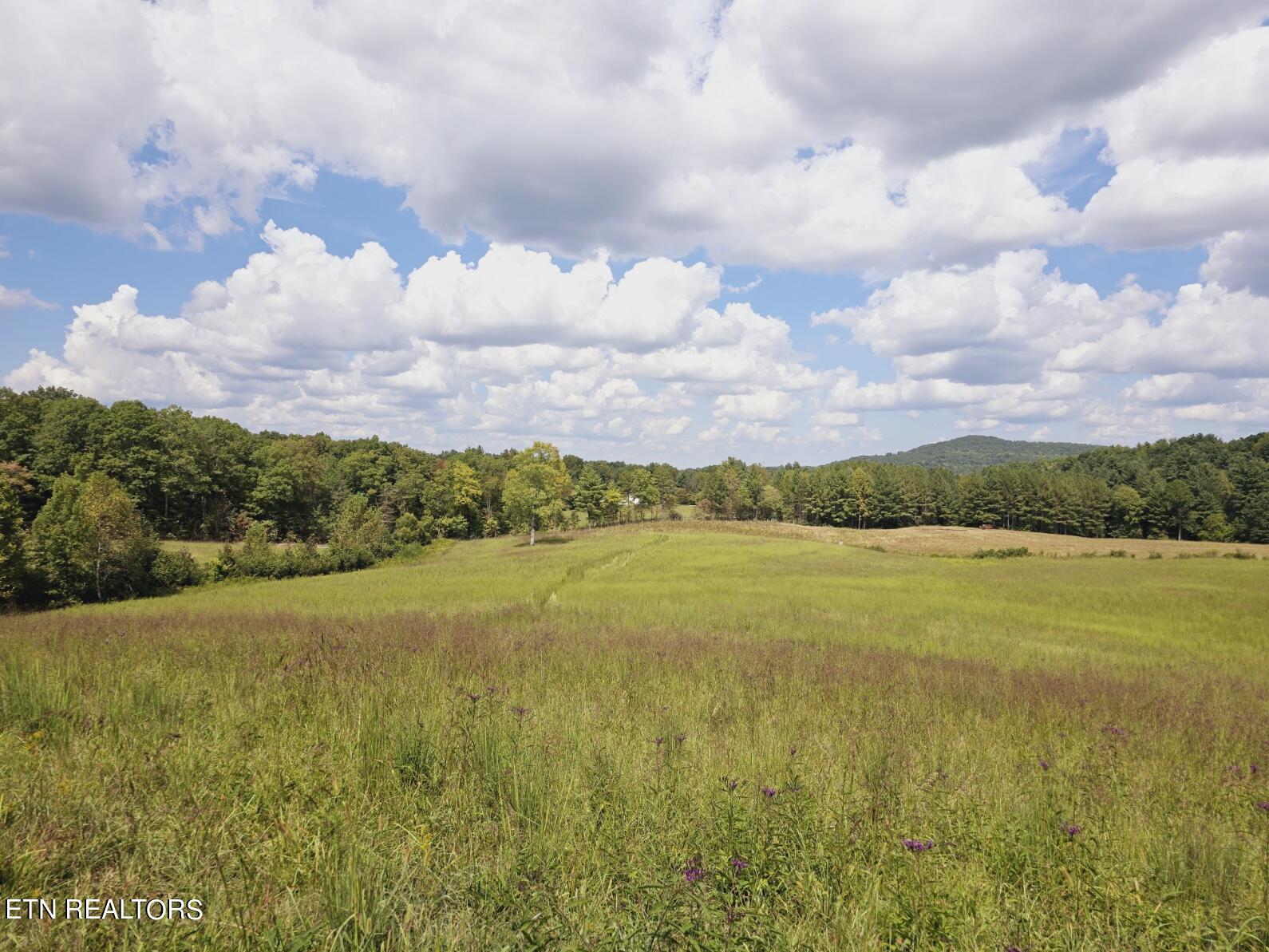 Piney Grove Road Oneida, TN 37841 - Photo 42 of 45 4