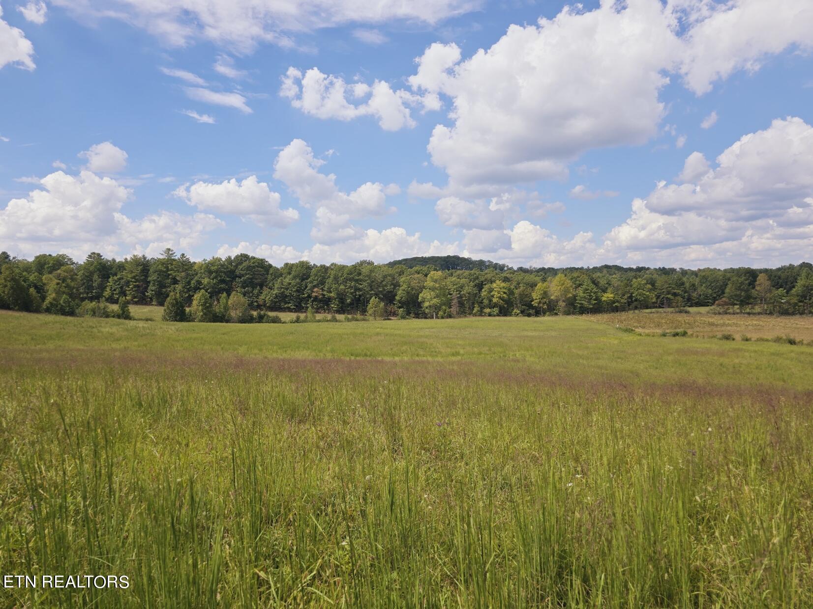 Piney Grove Road Oneida, TN 37841 - Photo 44 of 45 2