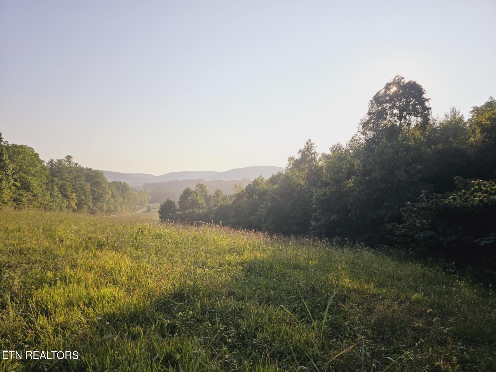 Piney Grove Road Oneida, TN 37841 - Photo 5 of 45 4