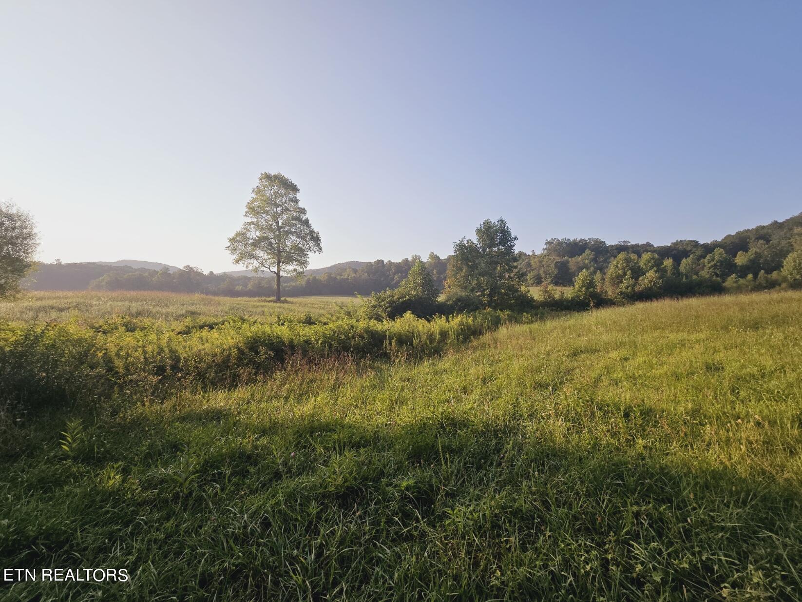 Piney Grove Road Oneida, TN 37841 - Photo 8 of 45 8