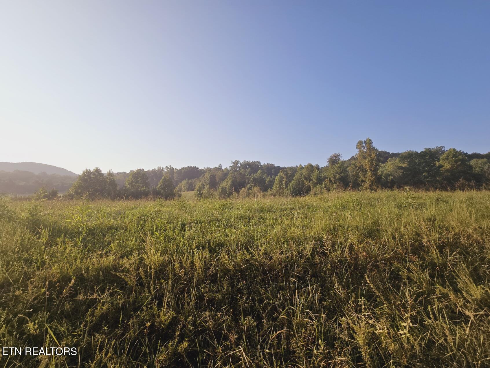Piney Grove Road Oneida, TN 37841 - Photo 10 of 45 6