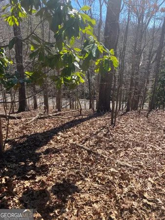 $55,000 | 806 Dixon Drive, Gainesville, GA 30501