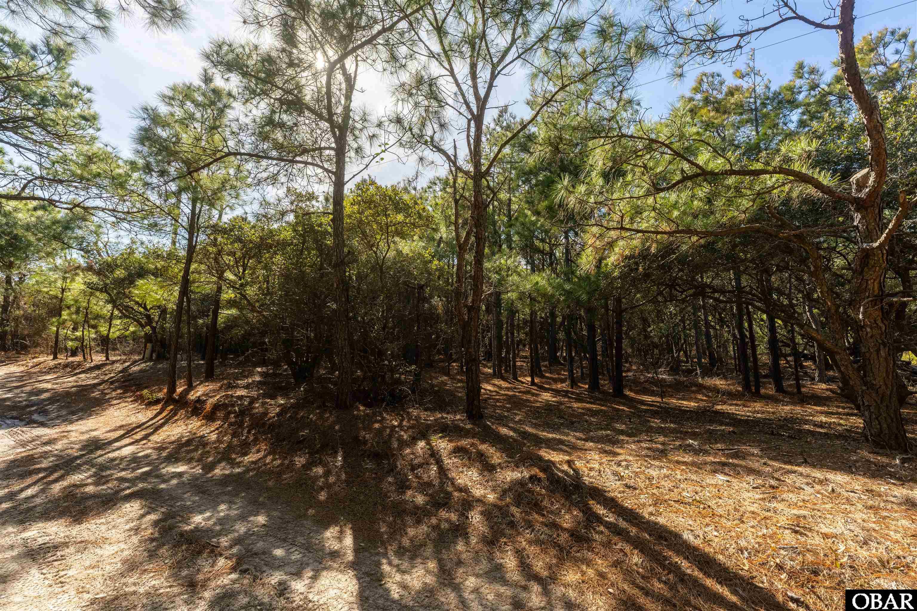 2336 Sandpiper Road Corolla, NC 27927 - Photo 4 of 16