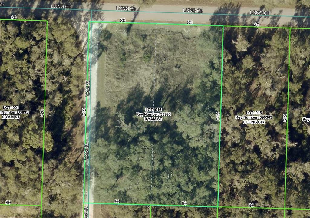 6436 Y Street Webster, FL 33597 - Photo 14 of 14