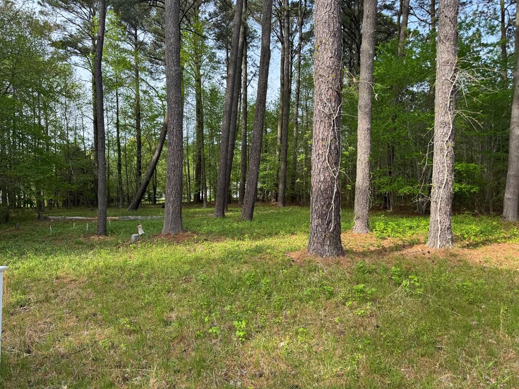 Lot 25 Country Club Road, Unit 25 Melfa, VA 23410 - Photo 1 of 2