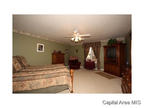 5317 Bunting Road Springfield, IL 62711 - Photo 10 of 23