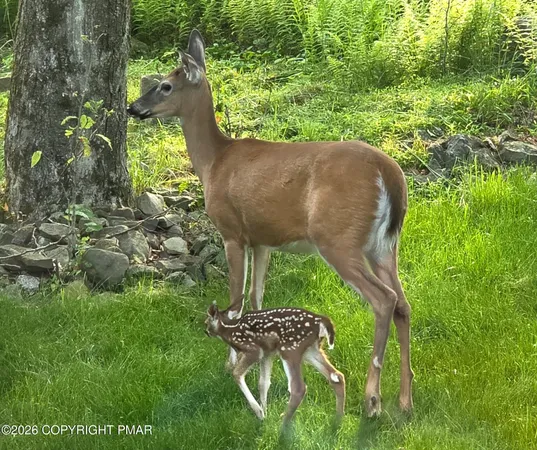$2,200 | 655 Country Pl Drive, Tobyhanna, PA 18466
