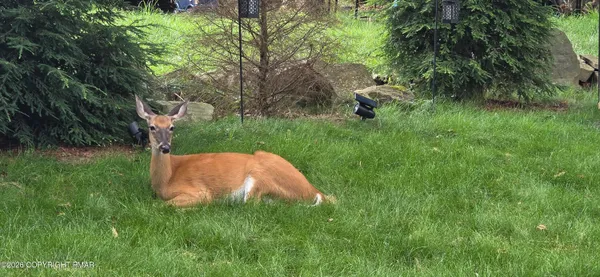 $2,200 | 655 Country Pl Drive, Tobyhanna, PA 18466