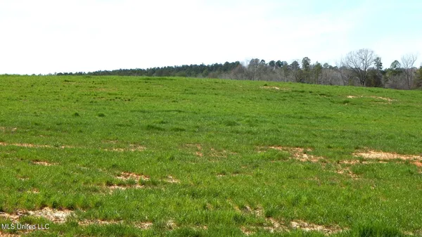 $87,900 | 686 Graysport Crossing Road, Gore Springs, MS 38929