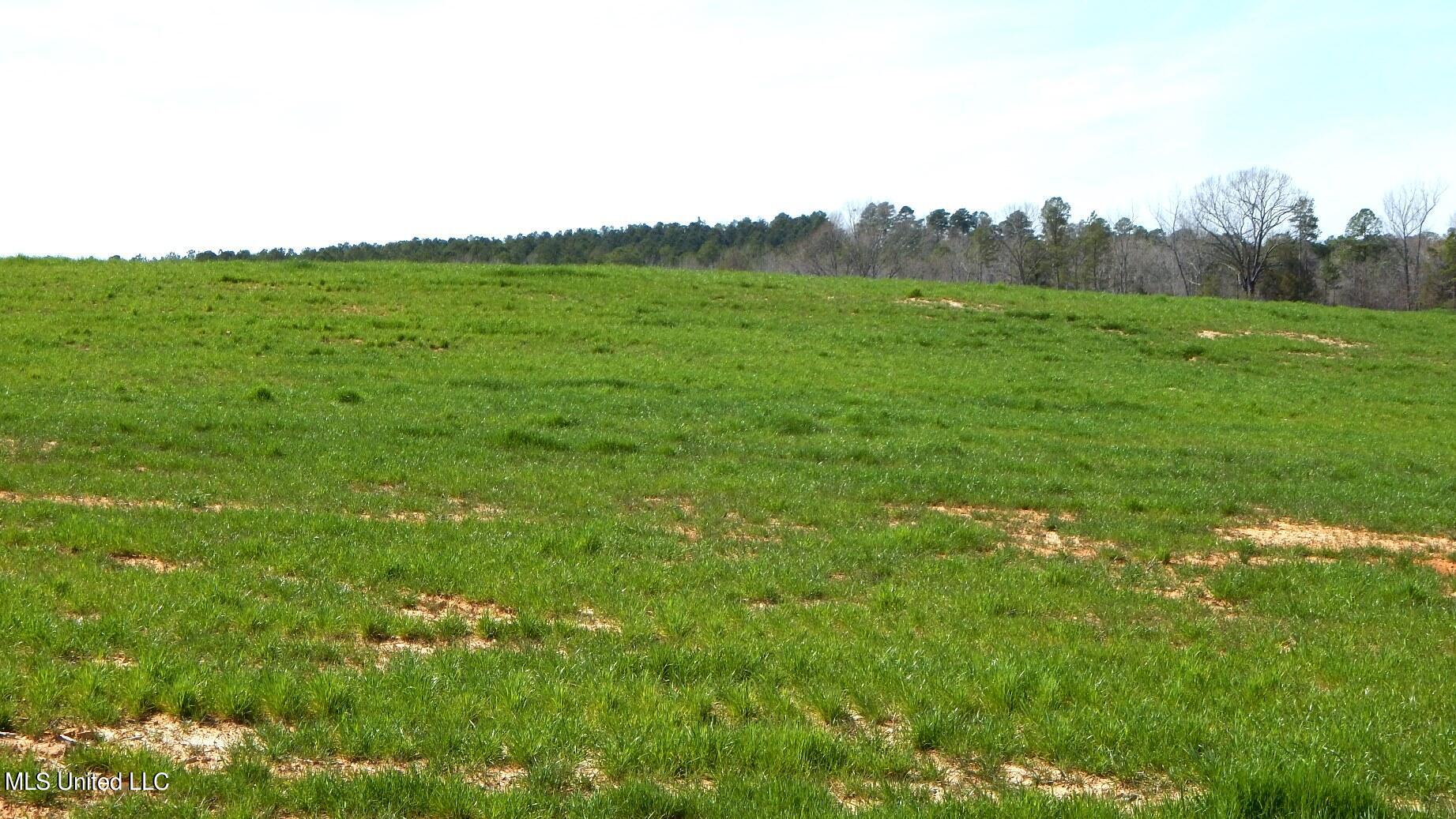 686 Graysport Crossing Road Gore Springs, MS 38929 - Photo 2 of 11 DSCN4983