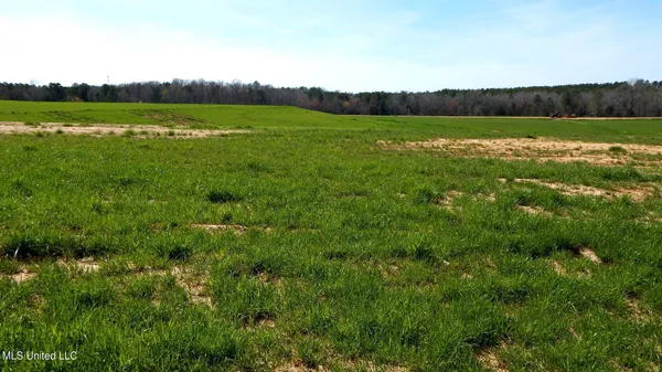 $87,900 | 686 Graysport Crossing Road, Gore Springs, MS 38929