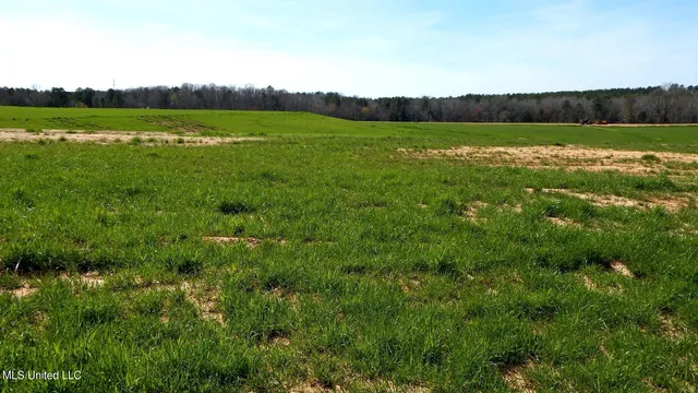 $87,900 | 686 Graysport Crossing Road, Gore Springs, MS 38929