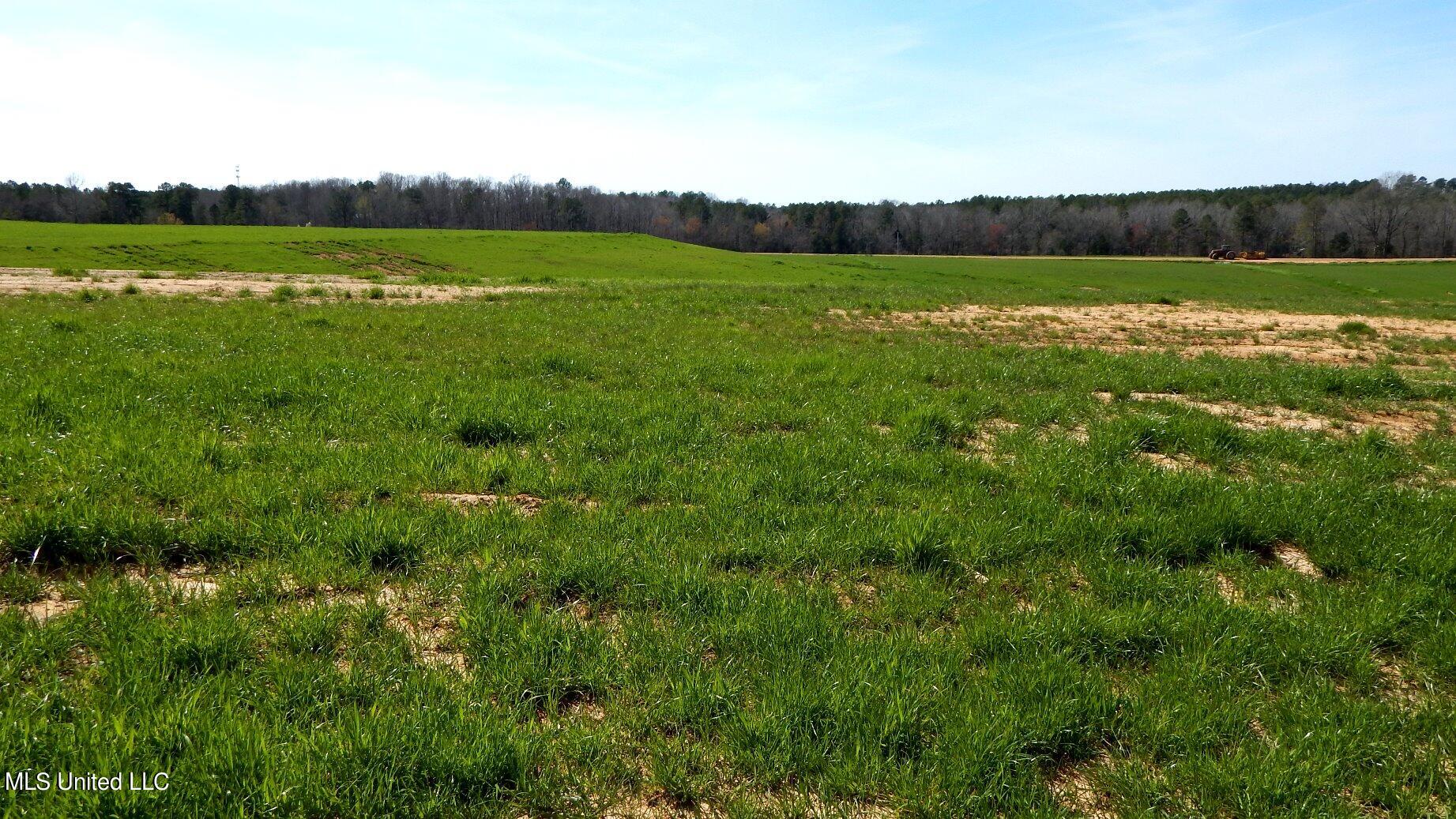 686 Graysport Crossing Road Gore Springs, MS 38929 - Photo 3 of 11 DSCN4989